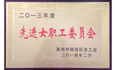 2013年先進(jìn)女職工委員會