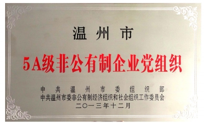 2013年溫州市5A非公有制企業(yè)黨組織