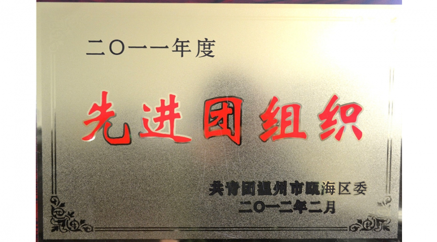 2011年先進團組織