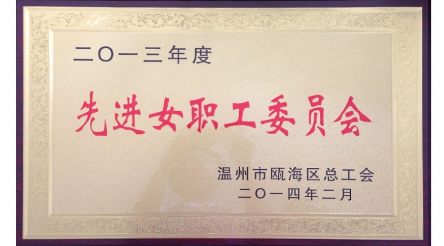 2013年先進(jìn)女職工委員會(huì)
